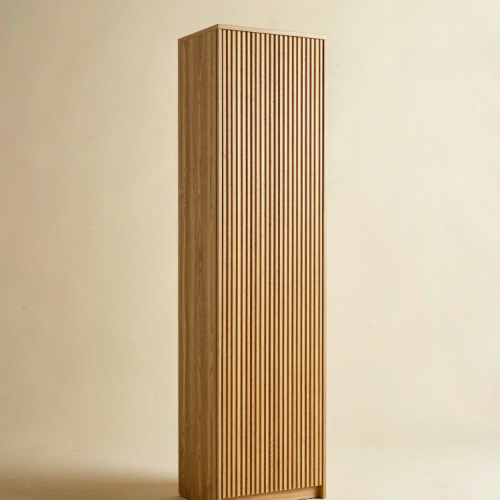 AI Shoe Cabinet Design
